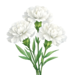 Tom dacht dat hij gewoon harder moest besparen.